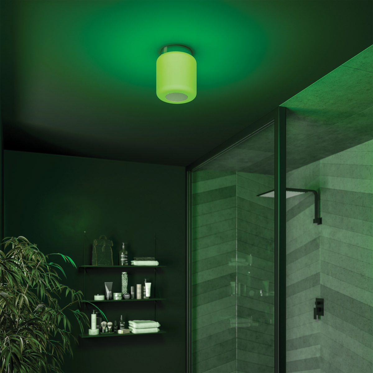 Cadence Bluetooth Light - Image 3