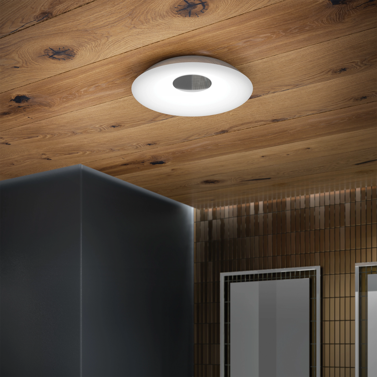 Arctic Bluetooth Light - Image 2