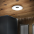 Arctic Bluetooth Light - Image 2