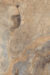Keystone Brown Porcelain Wall and Floor Tiles  400 X 600 MM - Image 3