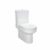 Surge Rimless Closed Back Pan Wrap Over Seat & Cistern - Image 3