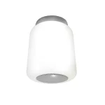 Cadence Bluetooth Light